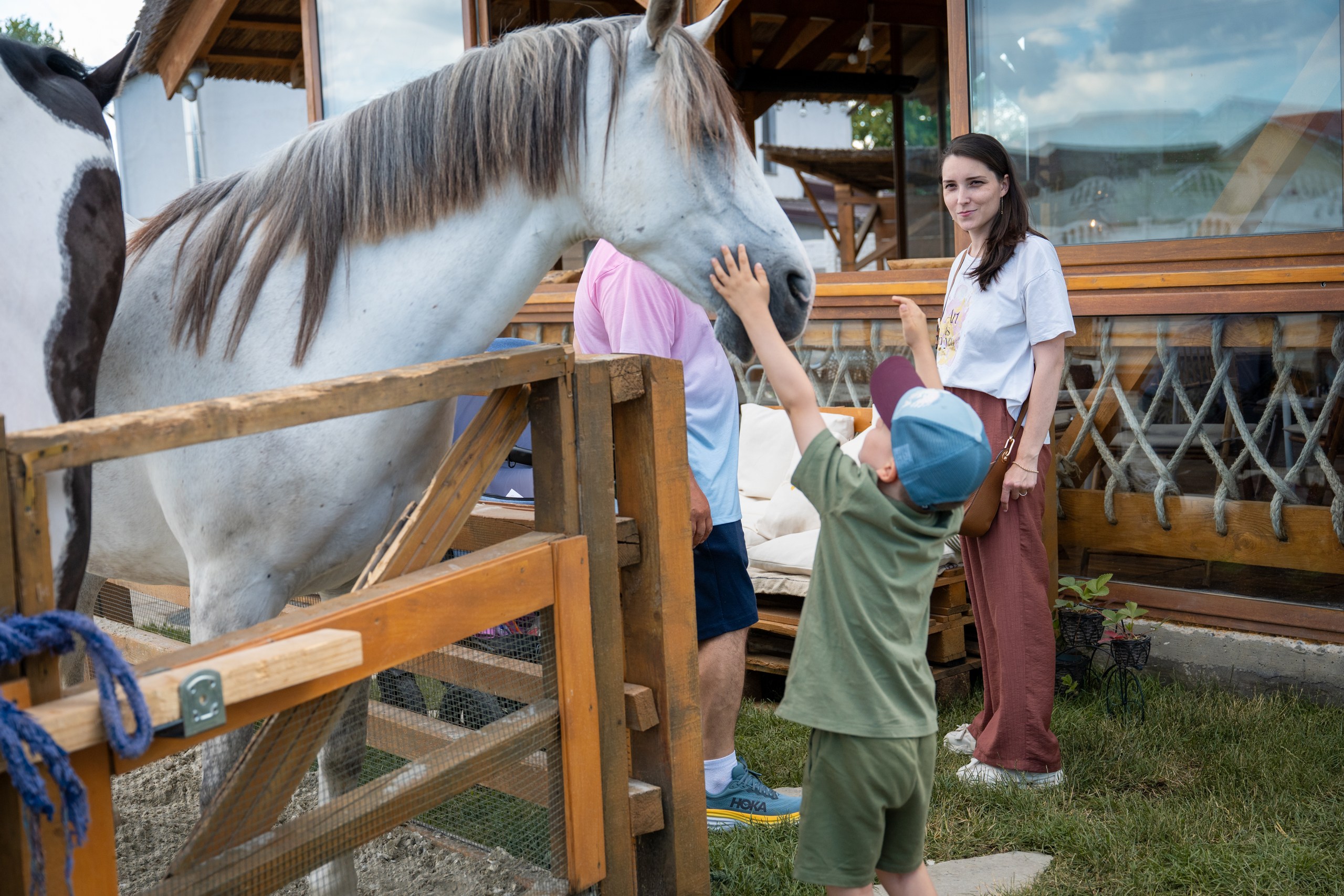 Cai la Gallop, cadrul activităților pentru copii și adulți.