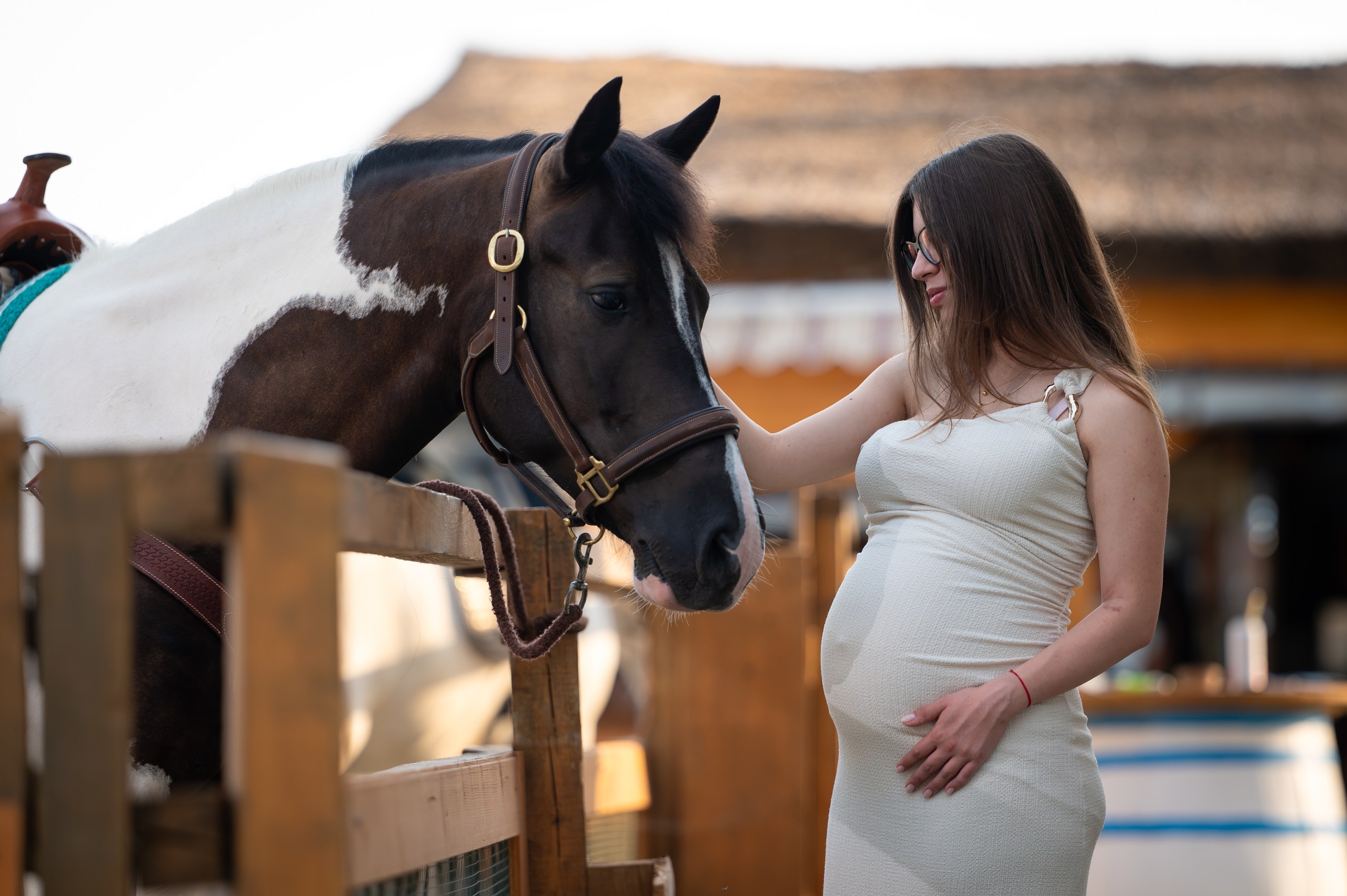 Oscar, unul dintre sufletele Gallop.